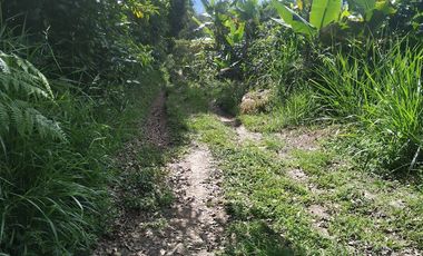 Excelente oportunidad de finca Cafetera produciendo.