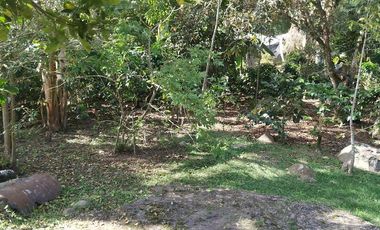 Excelente oportunidad de finca Cafetera produciendo.