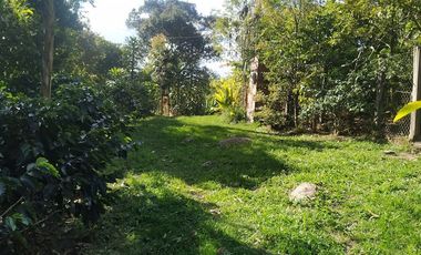 Excelente oportunidad de finca Cafetera produciendo.