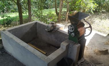 Excelente oportunidad de finca Cafetera produciendo.