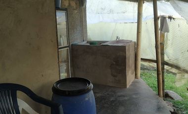 Excelente oportunidad de finca Cafetera produciendo.