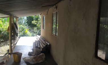 Excelente oportunidad de finca Cafetera produciendo.