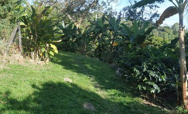 Excelente oportunidad de finca Cafetera produciendo.