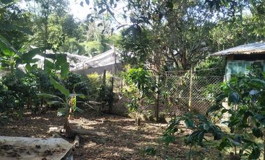 Excelente oportunidad de finca Cafetera produciendo.