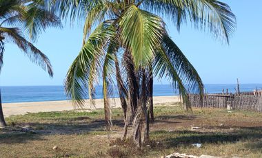 Venta Terreno  Barra de Coyuca de Benitez