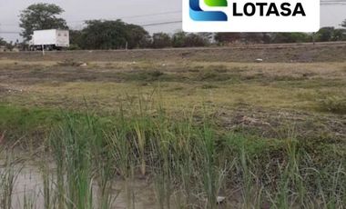 Venta 2 lotes, 7.77 Has C/u. Nuevo Samborondon, junto Proyecto Santiago