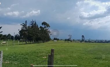 SE VENDE TERRENO DE 80 HECTAREAS IXTLAHUACA EDO. DE MÉXICO