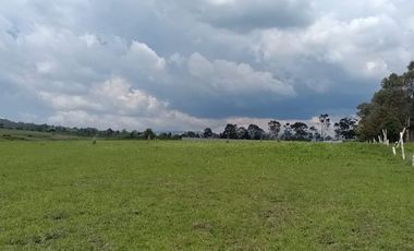 SE VENDE TERRENO DE 80 HECTAREAS IXTLAHUACA EDO. DE MÉXICO