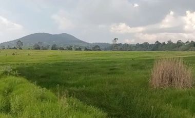 SE VENDE TERRENO DE 80 HECTAREAS IXTLAHUACA EDO. DE MÉXICO