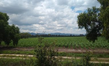 RANCHO AGRICOLA CON 139 HECTAREAS CON 5 POZOS, CONCESION AGUA, CASAS, EN SAN JOSE ITURBIDE, GUANAJUATO