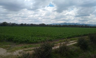 RANCHO AGRICOLA CON 139 HECTAREAS CON 5 POZOS, CONCESION AGUA, CASAS, EN SAN JOSE ITURBIDE, GUANAJUATO