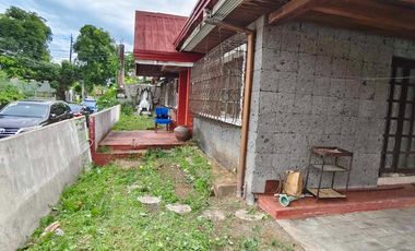 For Sale: Tahanan Village Corner Lot House (2 adjoining houses)