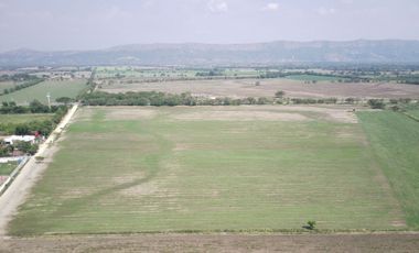 EXCELENTES LOTES POR HECTAREAS A 15 MIN DE GIRARDOT
