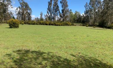 Sector Barros Arana costa 22 km de Freire , terreno Mapuche