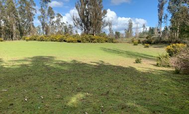 Sector Barros Arana costa 22 km de Freire , terreno Mapuche