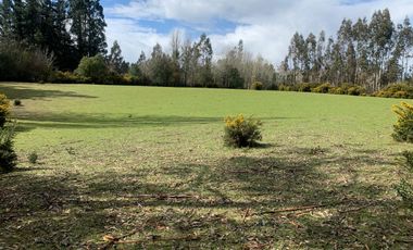 Sector Barros Arana costa 22 km de Freire , terreno Mapuche