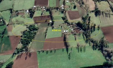 Sector Barros Arana costa 22 km de Freire , terreno Mapuche