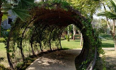 TERRENO EN VENTA UBICADO EN EL CARMEN ATLIXCO PUEBLA