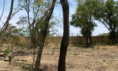 TERRENO EN VENTA UBICADO EN EL CARMEN ATLIXCO PUEBLA