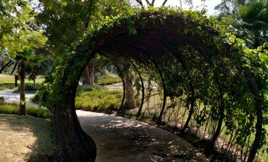 TERRENO EN VENTA UBICADO EN EL CARMEN ATLIXCO PUEBLA