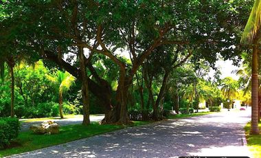 Penthouse con alberca, gym, venta en Playacar, Playa del Carmen.