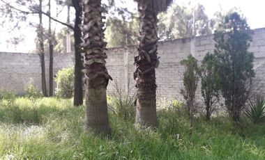 Terreno en venta, cuenta con escritura y servicios, pueblo nuevo, Zumpango edo. mex