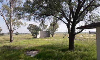 Terreno en venta, cuenta con escritura y servicios, pueblo nuevo, Zumpango edo. mex