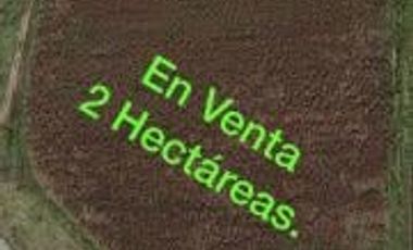 VENTA TERRENO EJIDAL EN ALMOLOYA DE JUAREZ, EDO DE MEXICO SOBRE CARRETERA