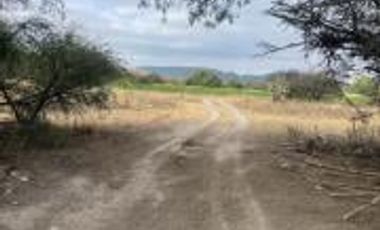 VENTA 14 HECTAREAS DE TERRENO EN SAN JOSE ITURBIDE GTO