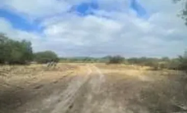 VENTA 14 HECTAREAS DE TERRENO EN SAN JOSE ITURBIDE GTO