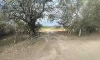 VENTA 14 HECTAREAS DE TERRENO EN SAN JOSE ITURBIDE GTO
