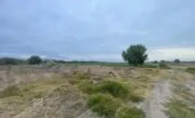 VENTA 14 HECTAREAS DE TERRENO EN SAN JOSE ITURBIDE GTO