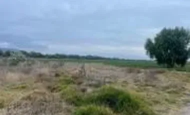 VENTA 14 HECTAREAS DE TERRENO EN SAN JOSE ITURBIDE GTO