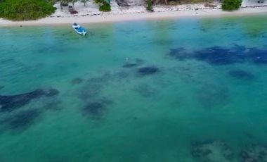 ¡Oportunidad Única! Lotes Residenciales en Mahahual