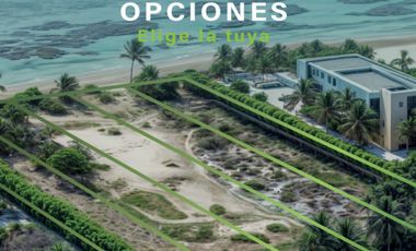 ¡Oportunidad Única! Lotes Residenciales en Mahahual