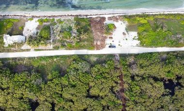 ¡Oportunidad Única! Lotes Residenciales en Mahahual