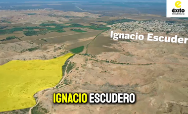 ¡¡Atención Inversores y Empresarios Agricolas!! 📣📣