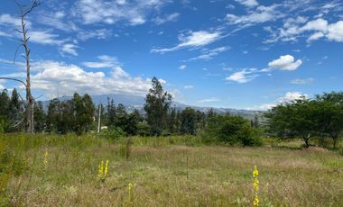 VENTA DE TERRENO EN PUEMBO - CERCANO AL CLUB ARRAYANES