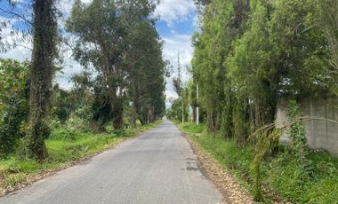 VENTA TERRENO EN PUEMBO  - CERCANO CLUB ARRAYANES