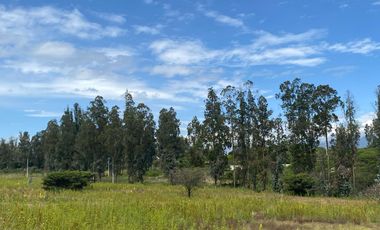 VENTA TERRENO EN PUEMBO  - CERCANO CLUB ARRAYANES.