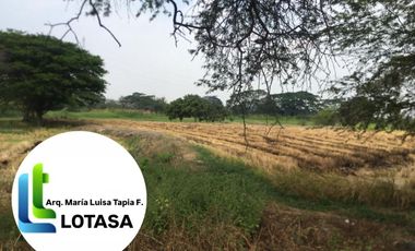 Venta 18.636 m², Nuevo Samborondon - Barranca, Sector La Puntilla, Al Pie del Rio