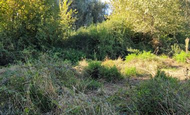 Terreno En Coltauco 7500 M2