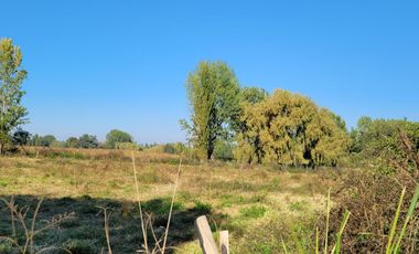 Terreno En Coltauco 7500 M2