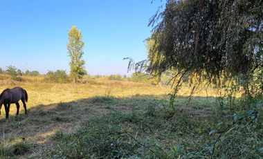 Terreno En Coltauco 7500 M2