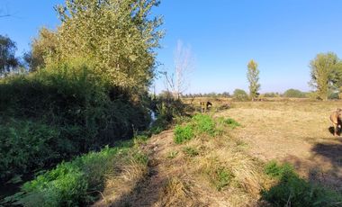 Terreno En Coltauco 7500 M2