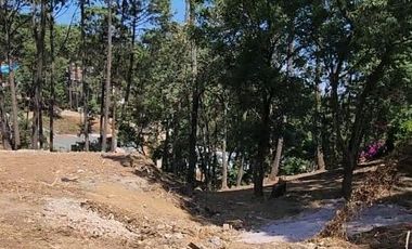 PROPIEDAD EN VENTA EN AVANDARO
