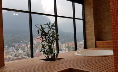 MAGNIFICO APARTAMENTO AMOBLADO  EN RENTA  EN EL CENTRO INTERNACIONAL