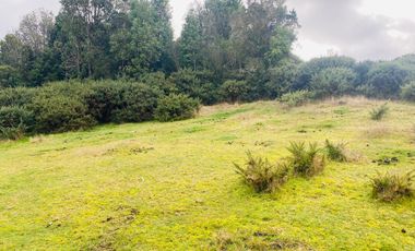 V 1581-LR-Vendo 3 Parcelas  en Colaco  -Calbuco