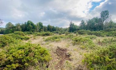 V 1581-LR-Vendo 3 Parcelas  en Colaco  -Calbuco