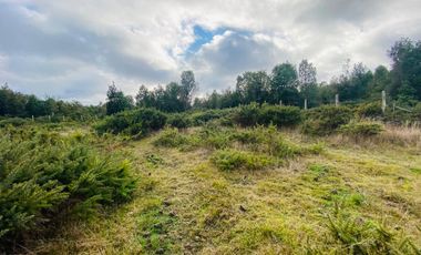 V 1581-LR-Vendo 3 Parcelas  en Colaco  -Calbuco